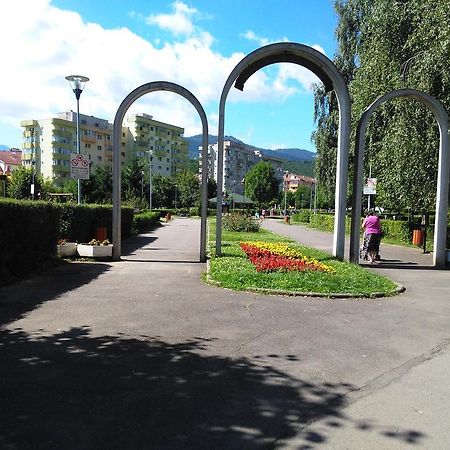 Apartament Nora Braşov Esterno foto