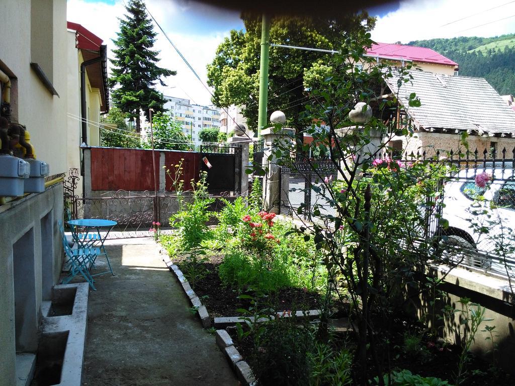 Apartament Nora Braşov Esterno foto
